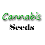 Cannabis Seeds