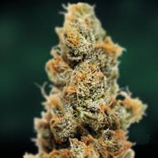 Pineapple Chunk x10