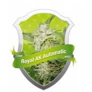 (Auto) Royal AK