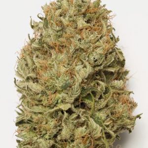 (Auto) Blue Dream